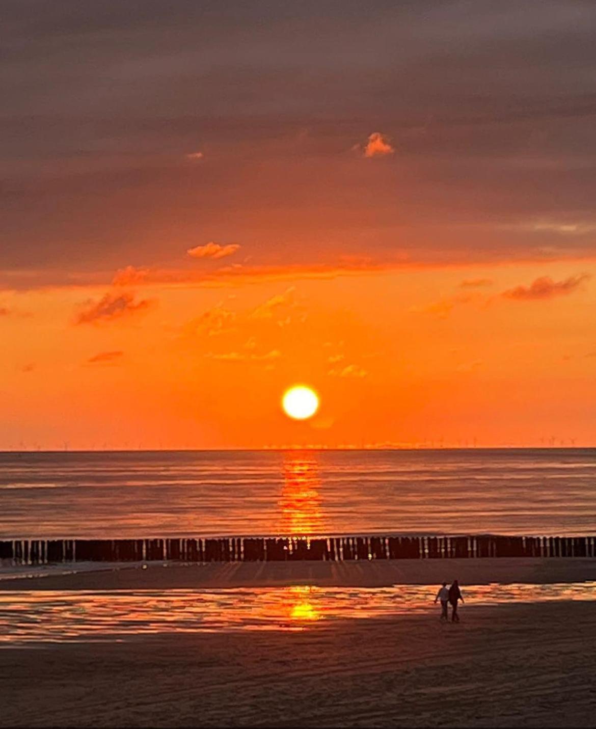 קאודקרקה Dishoek By The Sea מראה חיצוני תמונה