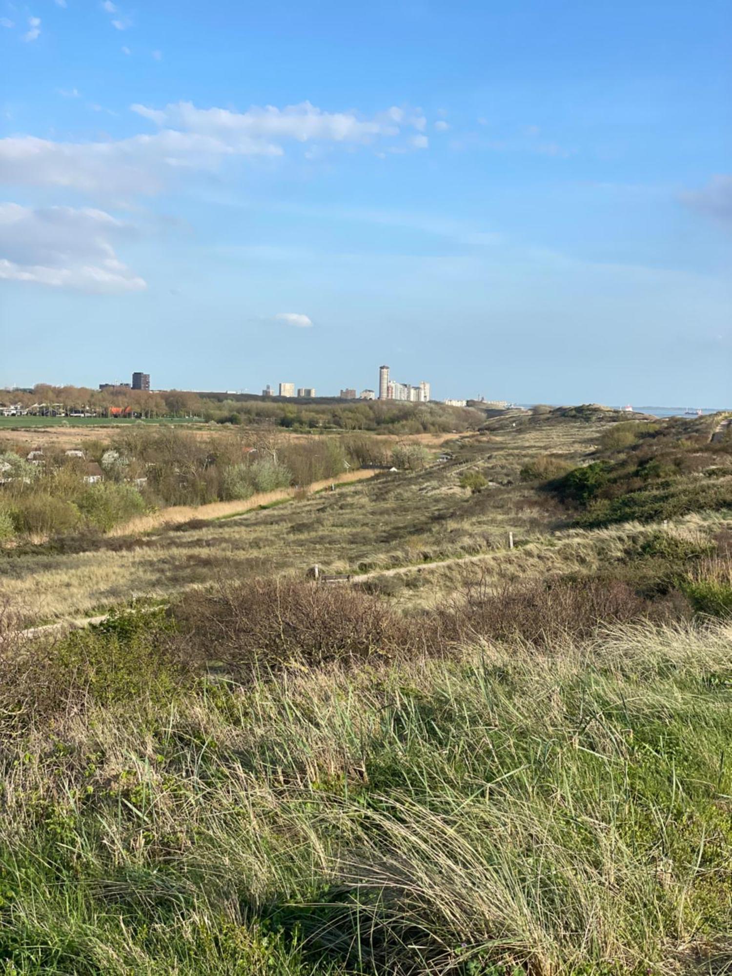 קאודקרקה Dishoek By The Sea מראה חיצוני תמונה